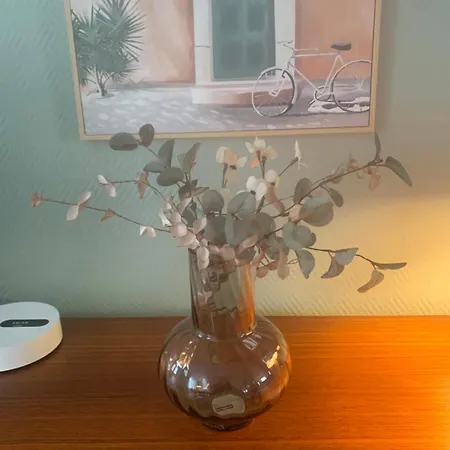 Holiday home Agreable Maison Meublee *